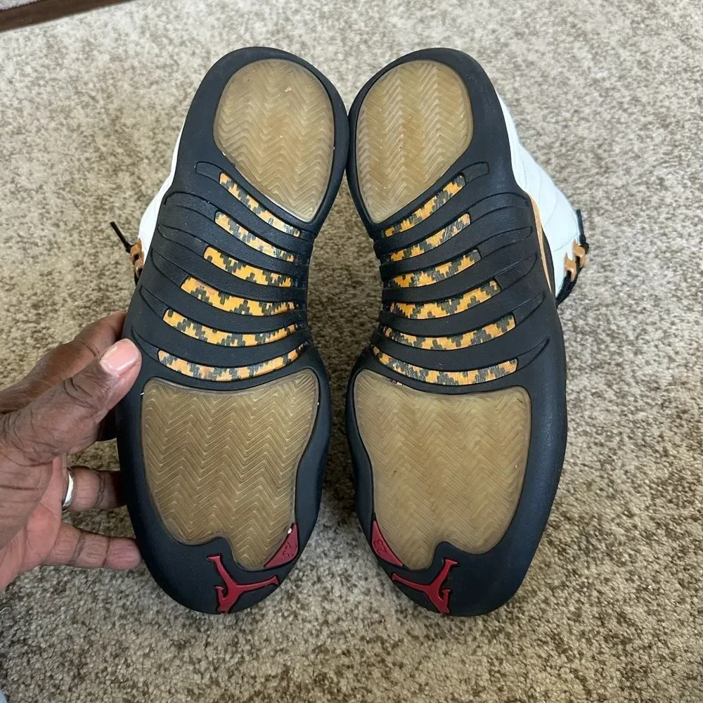 Jordan Air Jordan 12 Retro 